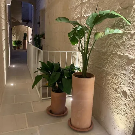 Bed & Breakfast Viacota24